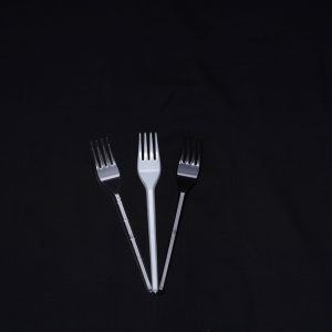 FP-01 FORK