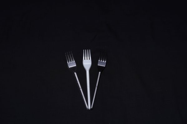 FP-01 FORK