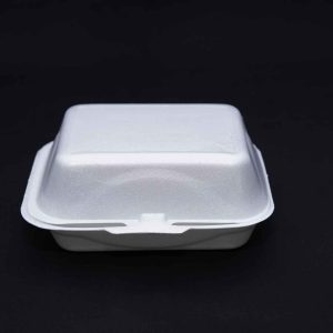 PP-09 LARGE BURGER BOX