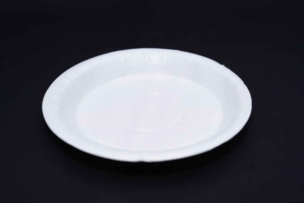 PP-15 LARGE PLATE